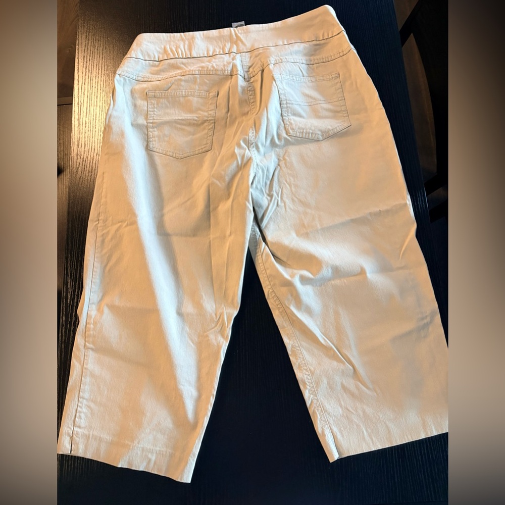 Carroll Reed Cropped Capris Pants- Size 20W - Picture 4 of 10